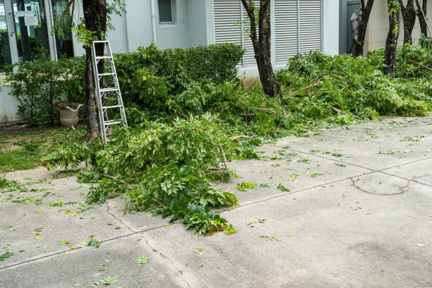 Lawn Grading and Leveling in Biscayne Park, FL